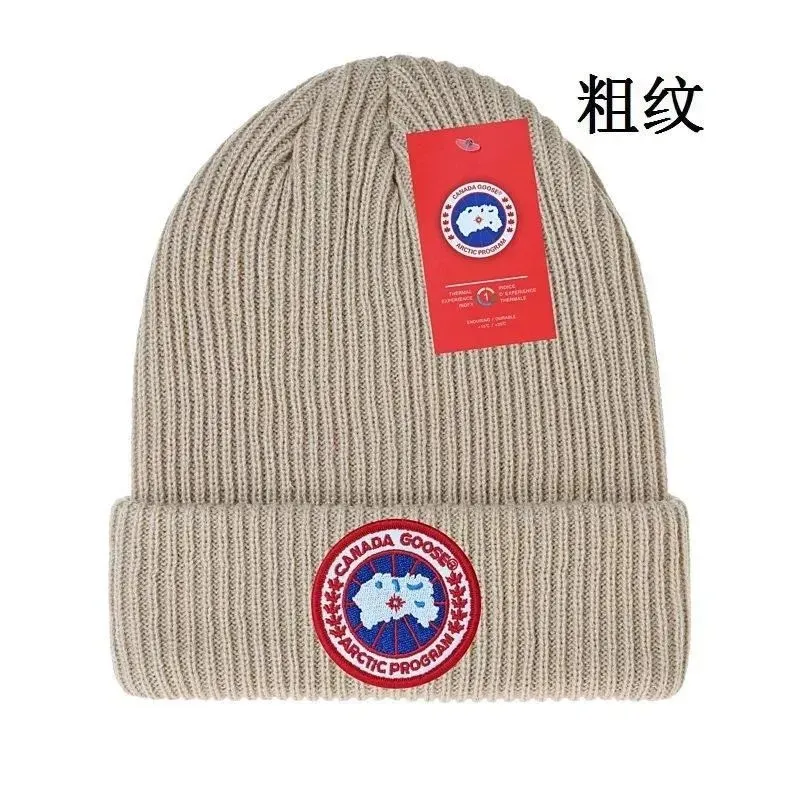 Canada Goose Arctic Program Beanie [38 styles]