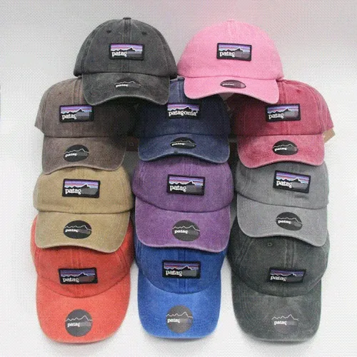 Patagonia P-6 Logo Hat