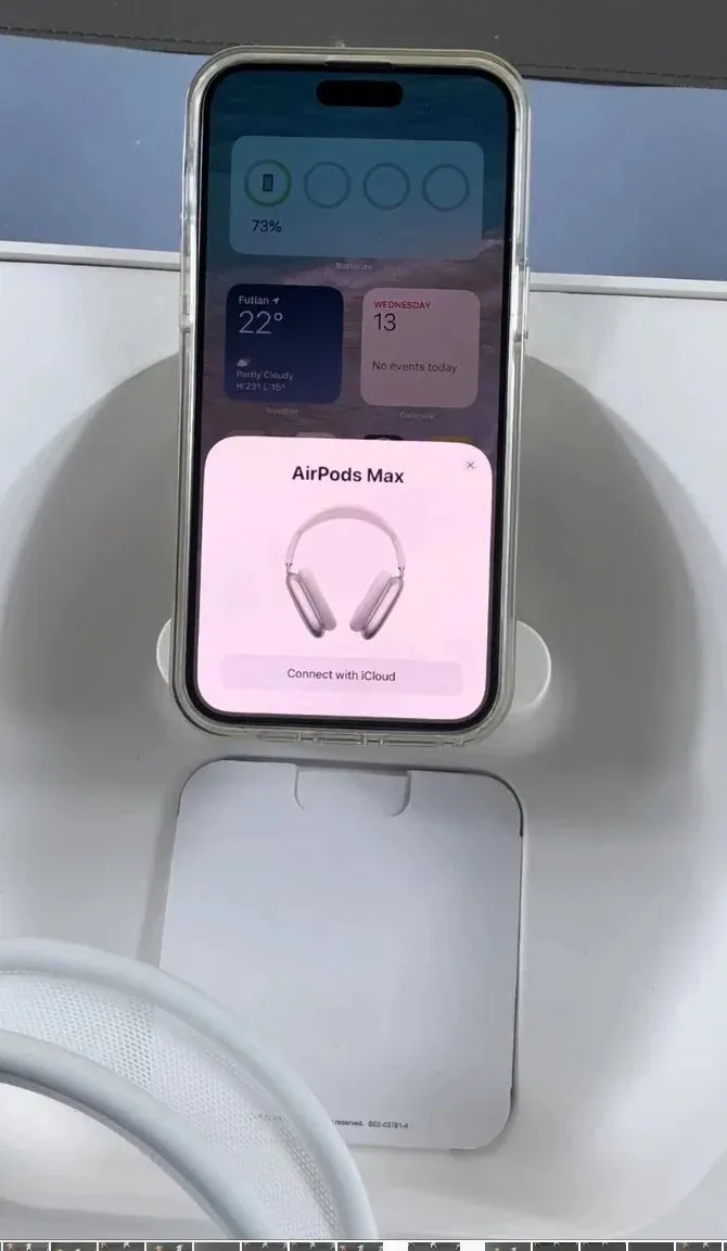 Apple AirPods Max [1 style]