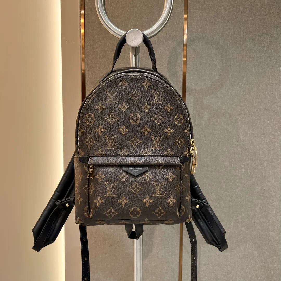Louis Vuitton Monogram Mini Backpack