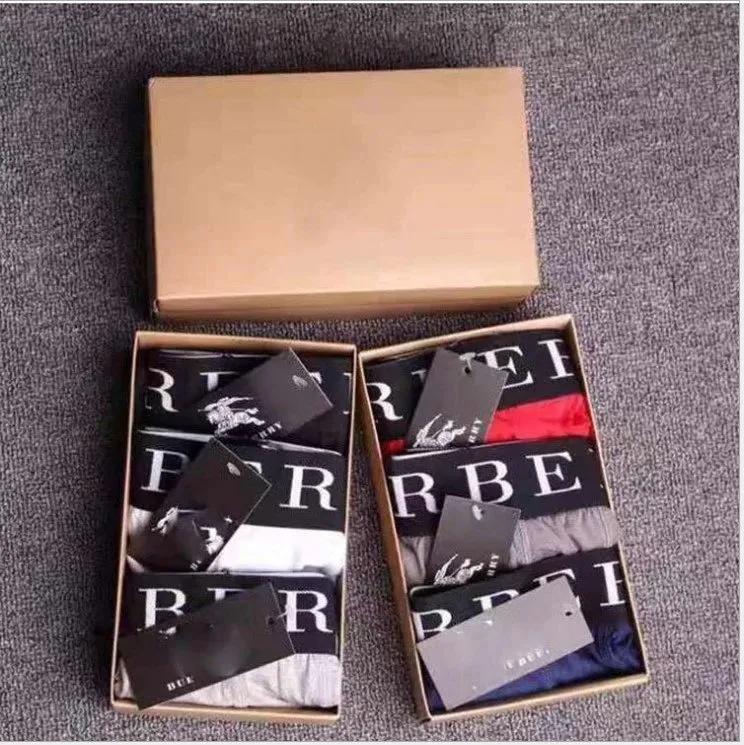 Burberry Logo Underwear [6 styles]