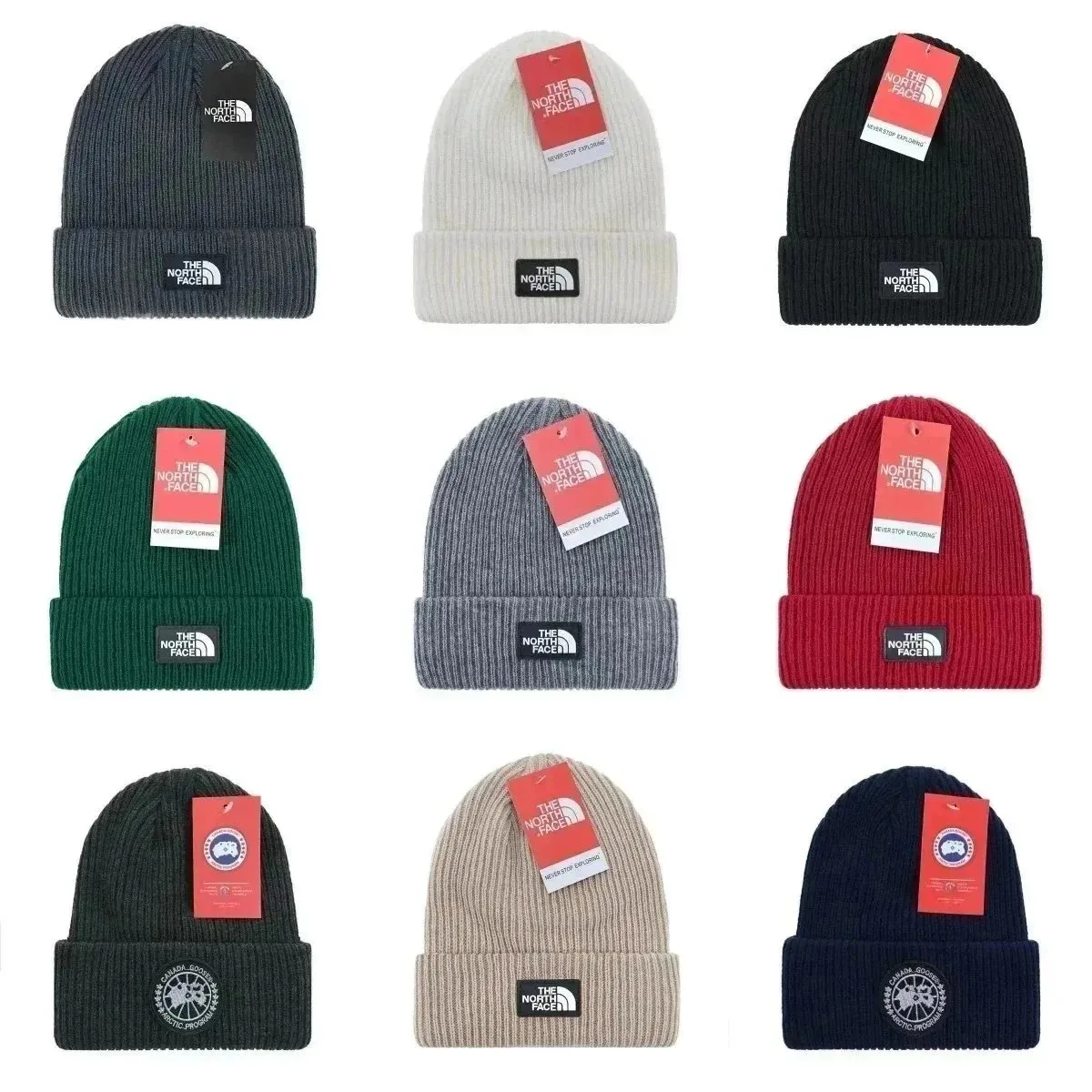The North Face Beanie [38 styles]
