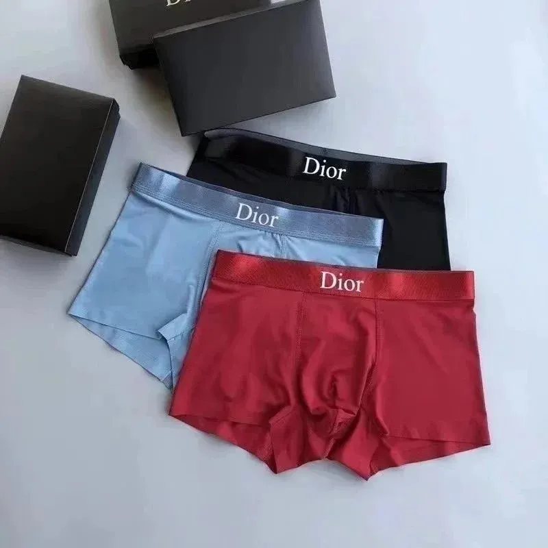 Dior Underwear [5 styles]