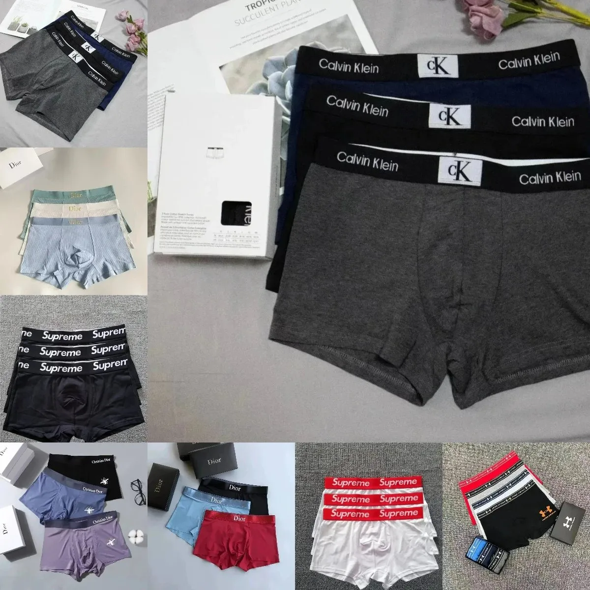 CK & Dior underwear