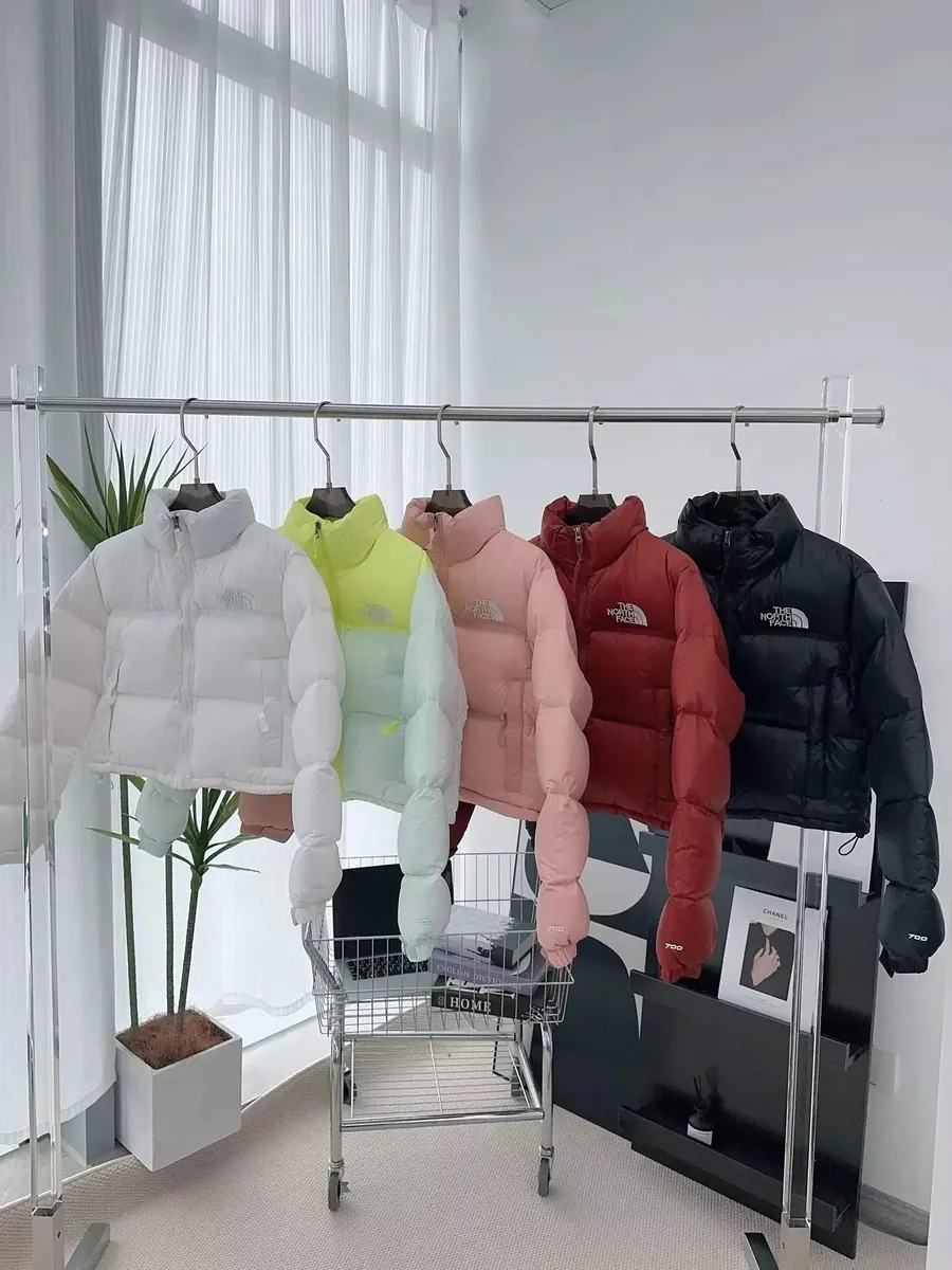 The North Face Nuptse 700 Puffer Jacket [4 styles]