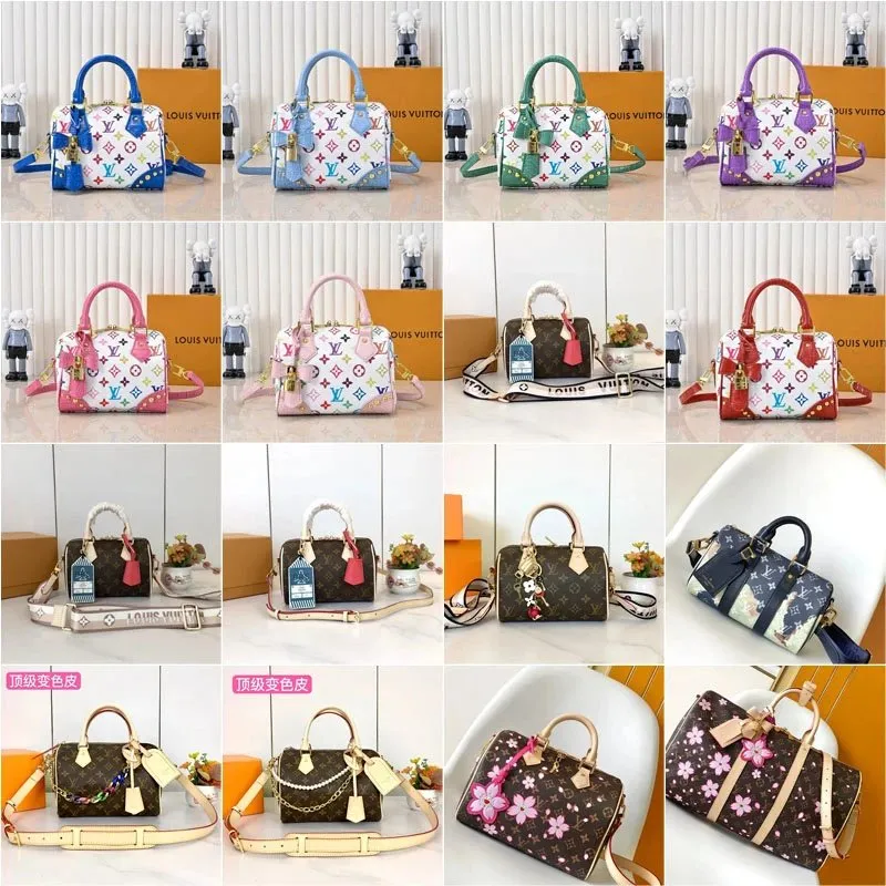 Louis Vuitton Speedy Bag [22 styles]