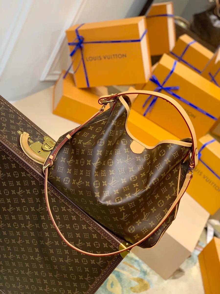 Louis Vuitton Monogram Hobo Bag