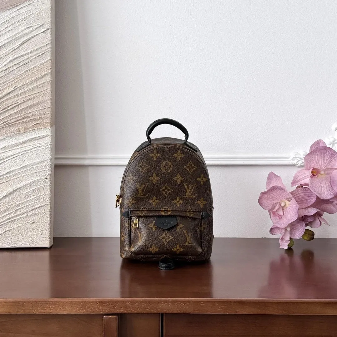 Louis Vuitton Monogram Mini Backpack
