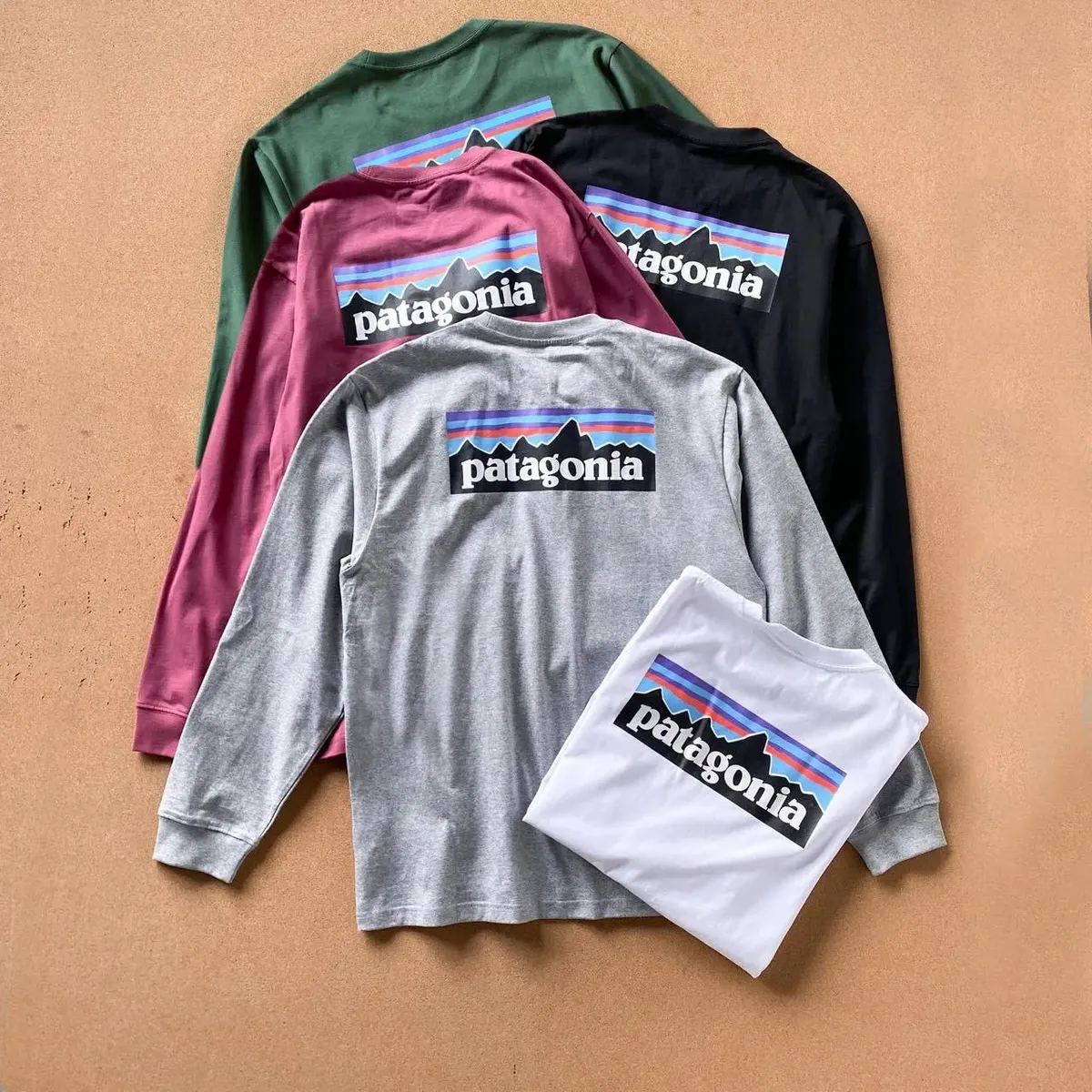 Patagonia P-6 Logo Long Sleeve T-Shirt [5 styles]