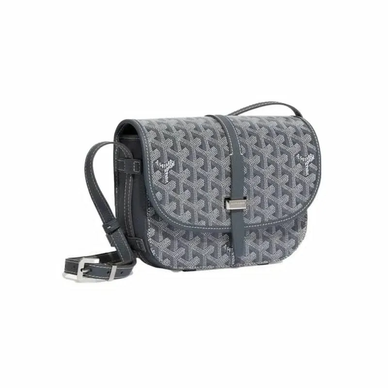 Goyard Saint Louis PM Shoulder Bag [20 styles]
