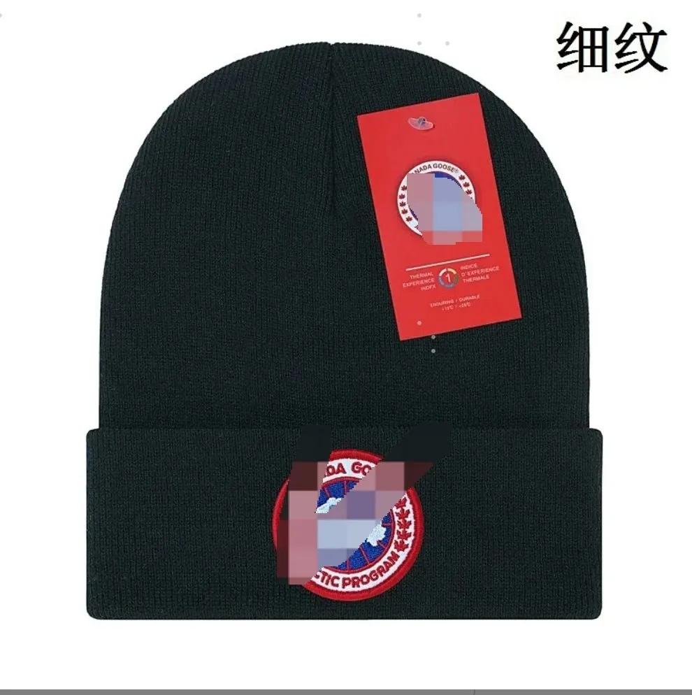 Canada Goose Arctic Program Beanie [39 styles]