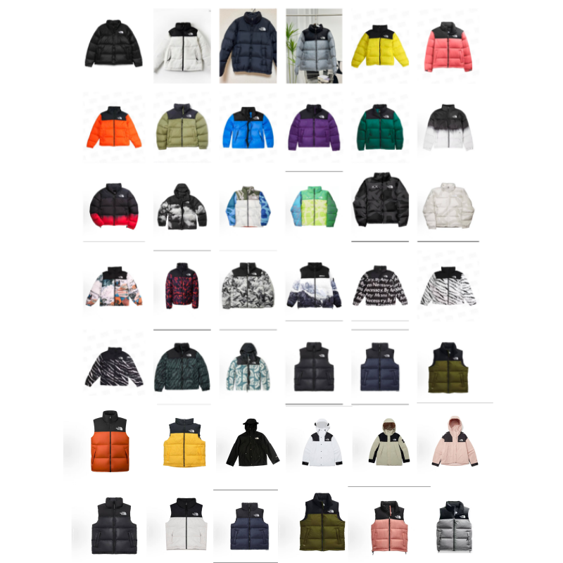 No1rthern down jacket